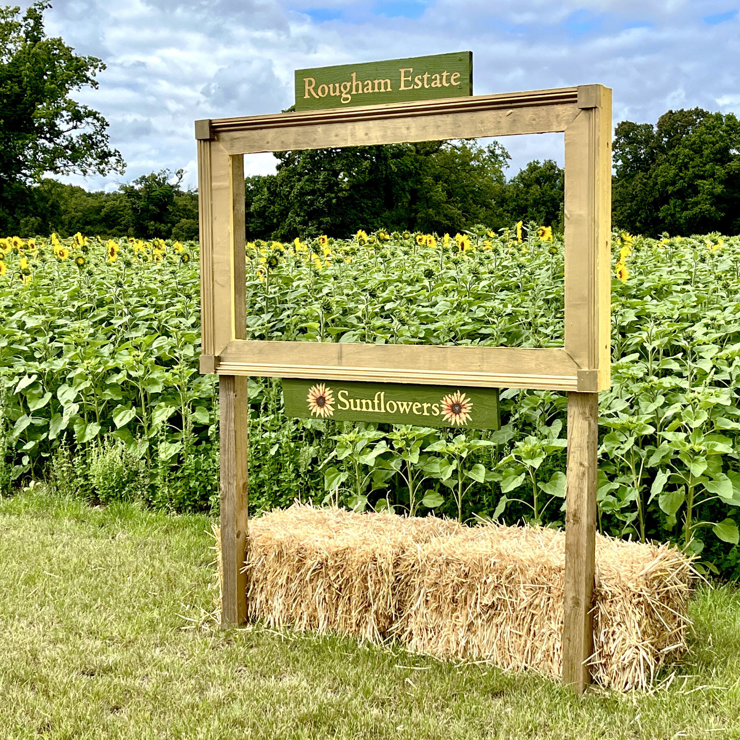 SEN-friendly Sunflower Sessions