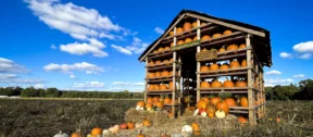 Pumpkin House