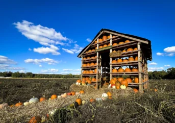 Pumpkin House