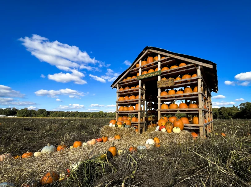 Pumpkin House