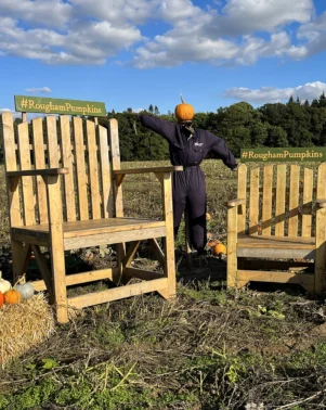 Pumpkin Chairs 24