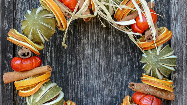 Merrywood fruit-ring