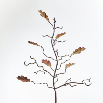 7-leaf-oak-1-e1630621199155