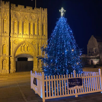 BSE Gate Tree