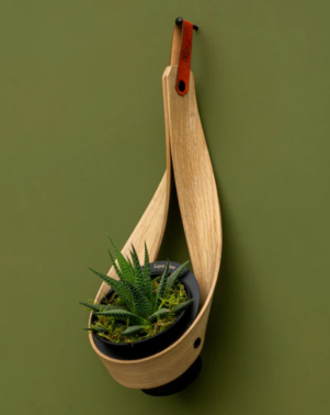 Wall Planter 2