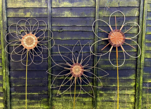 willow flowers fence