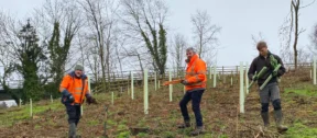 Tree planting feb25 3