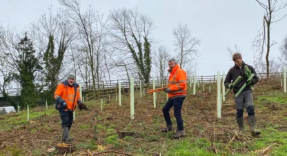 Tree planting feb25 3