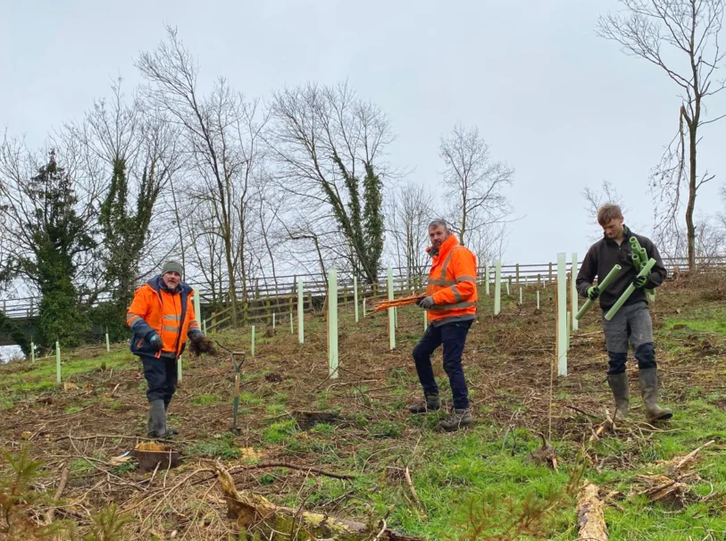 Tree planting feb25 3
