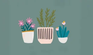 Pop-up Plant Stall LS