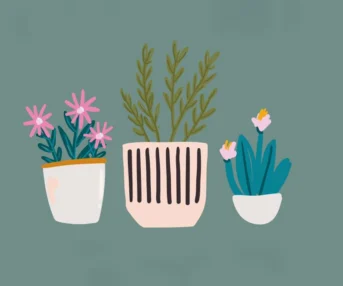 Pop-up Plant Stall LS