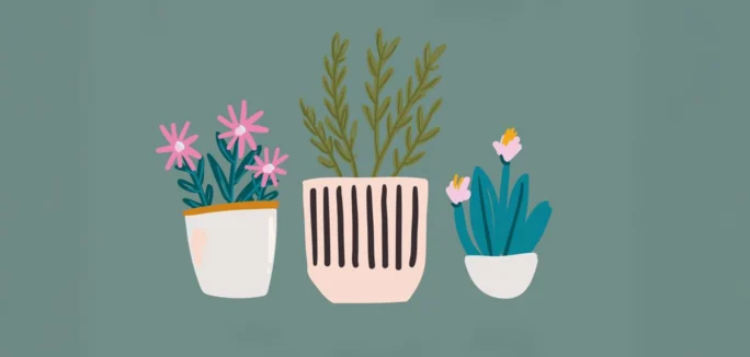 Pop-up Plant Stall LS