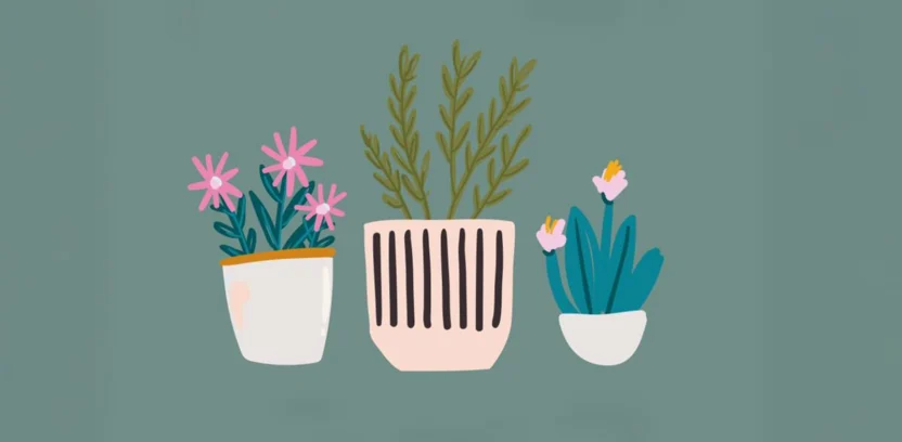 Pop-up Plant Stall LS