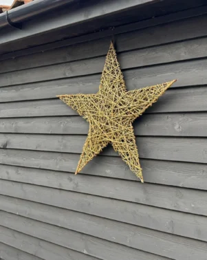 Big-Star-2 Grey