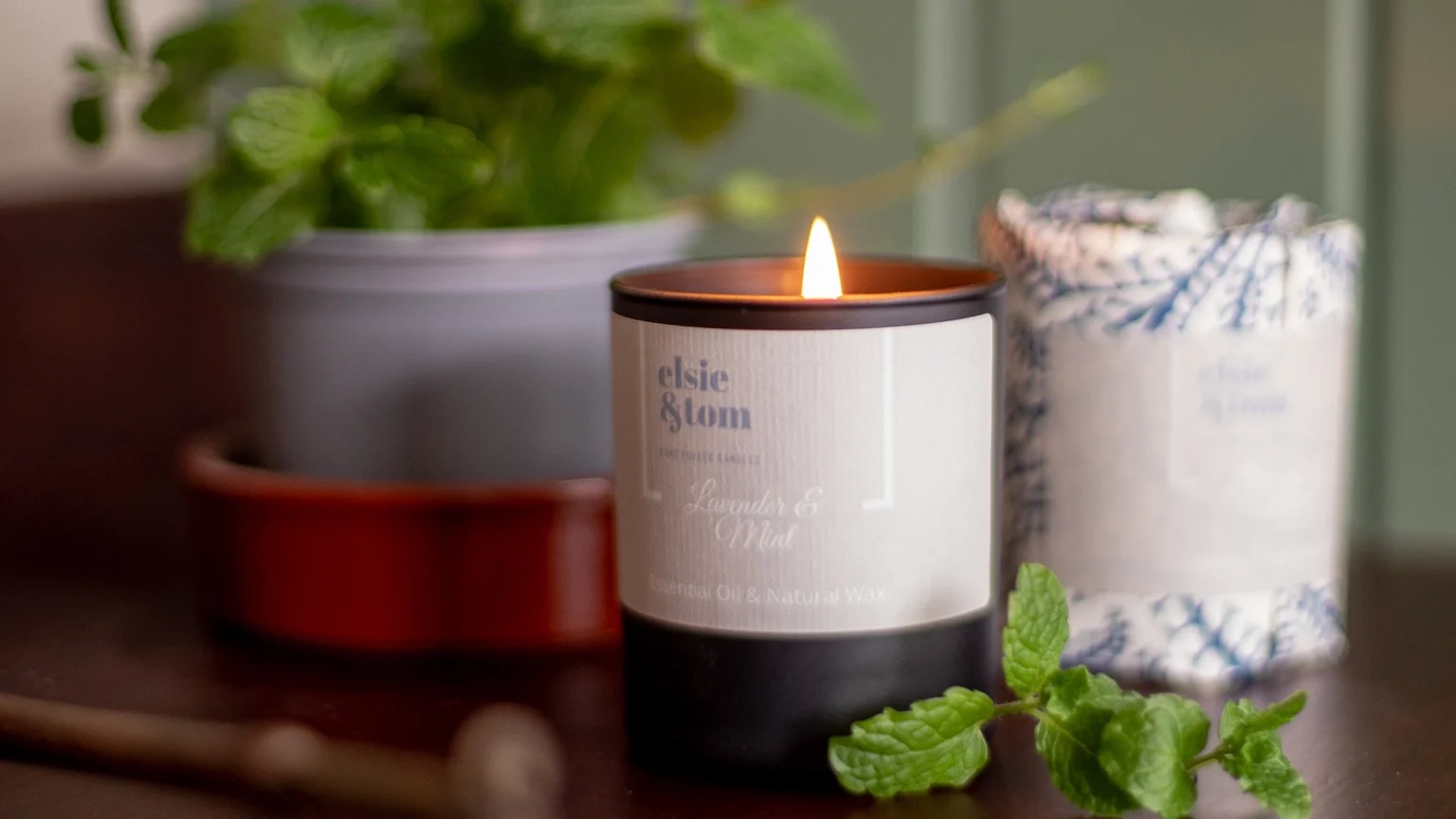 Elsie and Tom 2025 7 LS