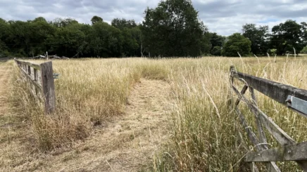 Meadow Walk Entrance Jun25