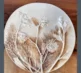 Botanical Casting 2025 1 Fennel