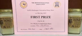 Suffolk Show Wins 2025 3
