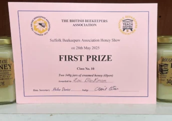 Suffolk Show Wins 2025 3