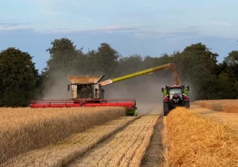 Rye Harvest 2025 2
