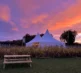 Torchlight Pumpkins 2024 1