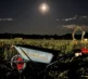 Torchlight Pumpkins 2024 11