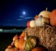 Torchlight Pumpkins 2024 12