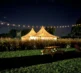 Torchlight Pumpkins 2024 13