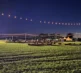 Torchlight Pumpkins 2024 17