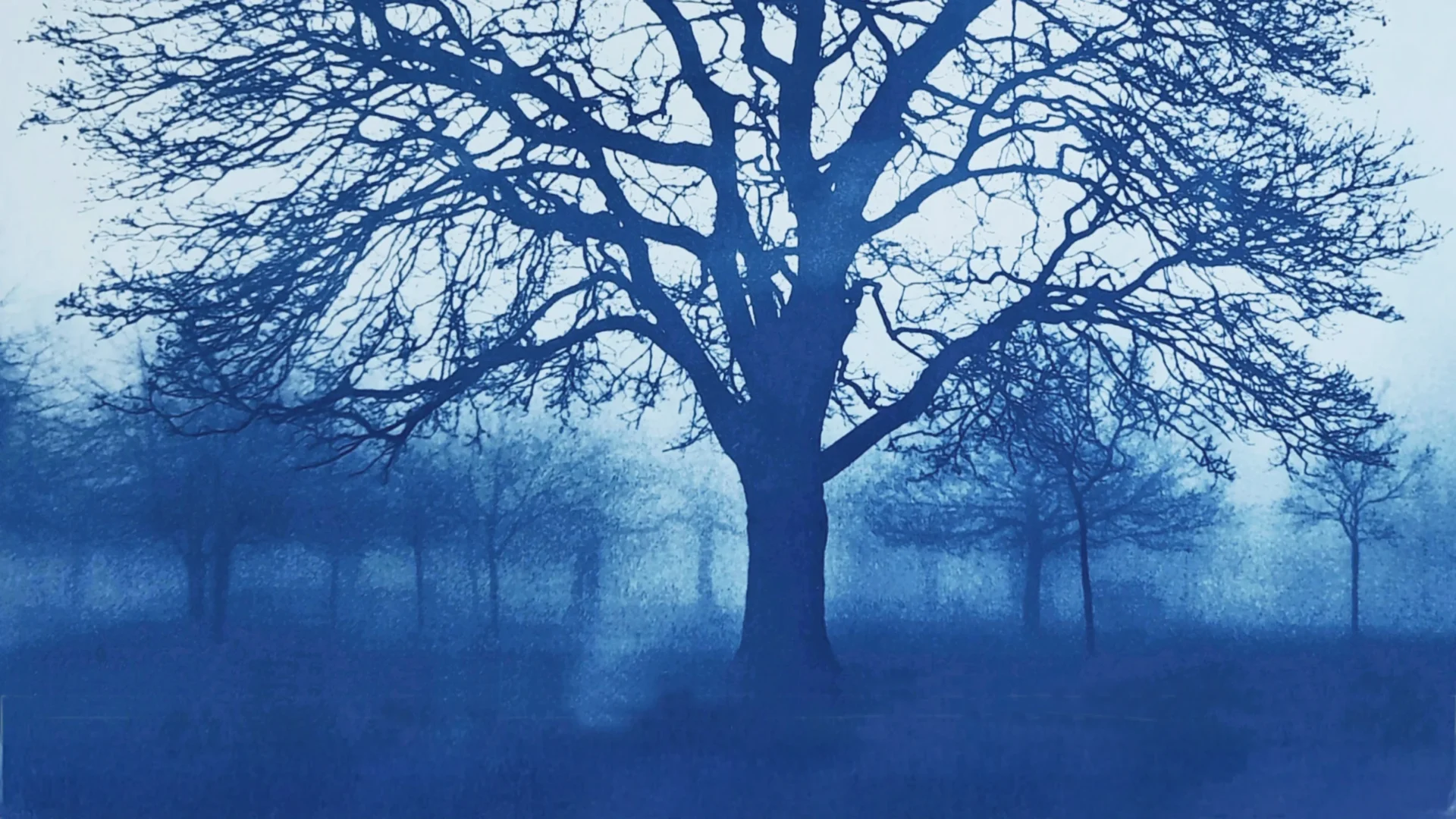 Rhoda Webb 2025 2 LS