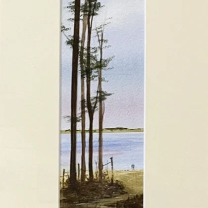 Katie Millard 2025 3