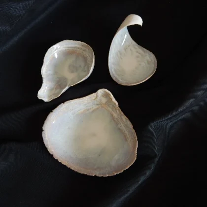 Small Fish Pottery 2025 1