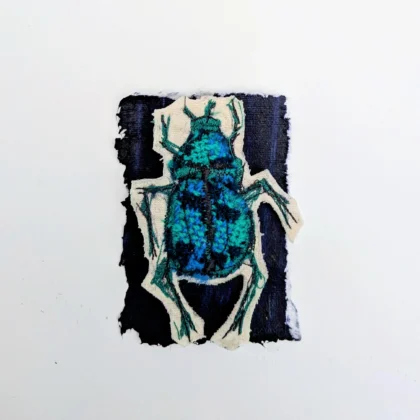 Petal Anderson 2025 7