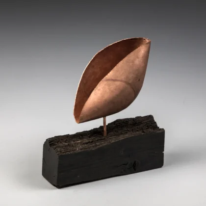 Tricia Taylor 2025 5