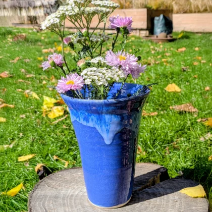 Hippy Hut Pottery 2025 10