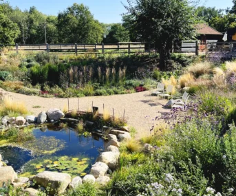 Sunken Garden Sep25