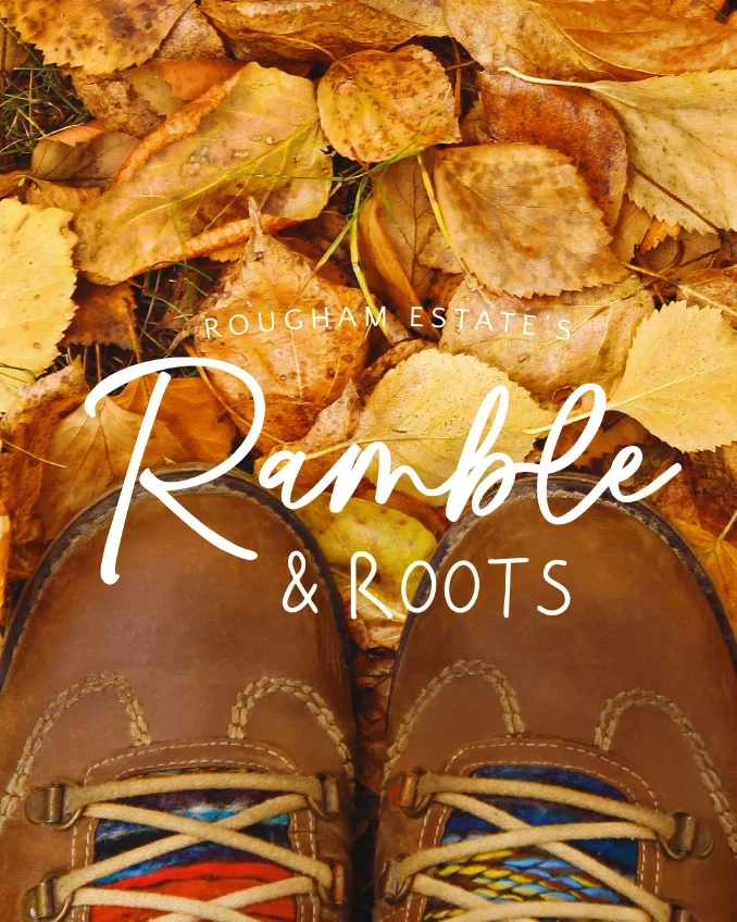 R&R Email Banner Jan26