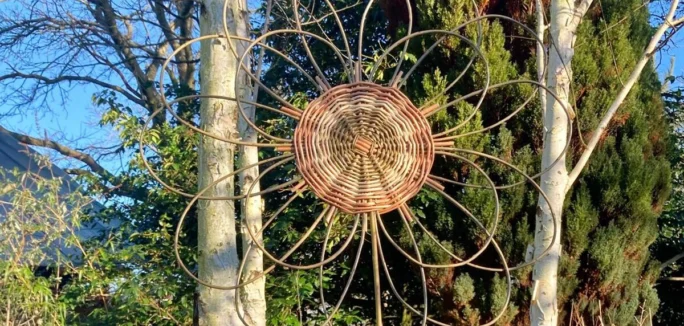 Willow Flower in garden