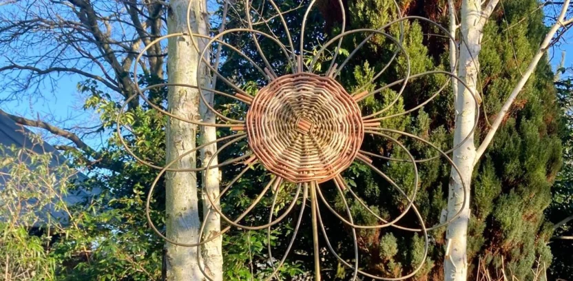 Willow Flower in garden