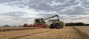 Harvesting