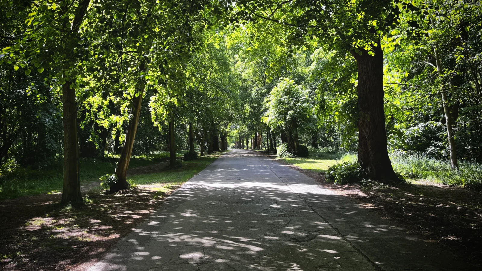 Avenue May26-1