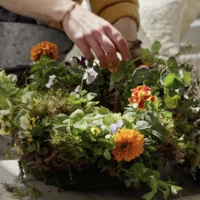 Edible Wreath