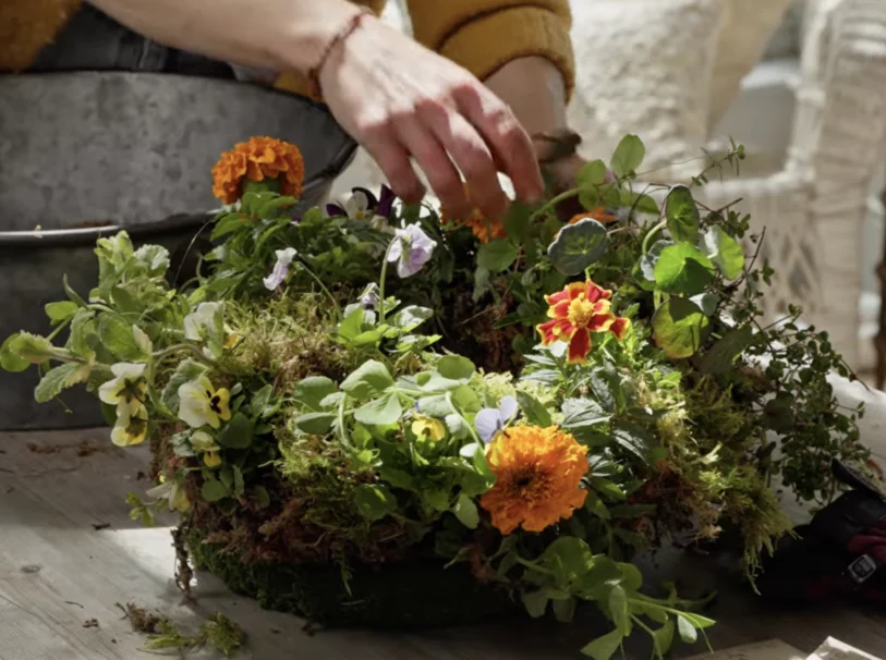 Edible Wreath