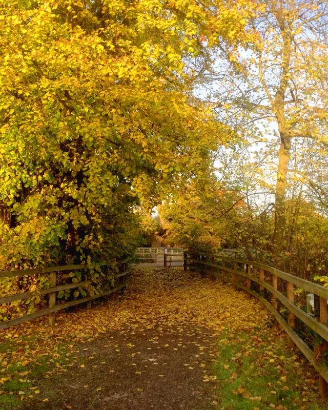 Autumn