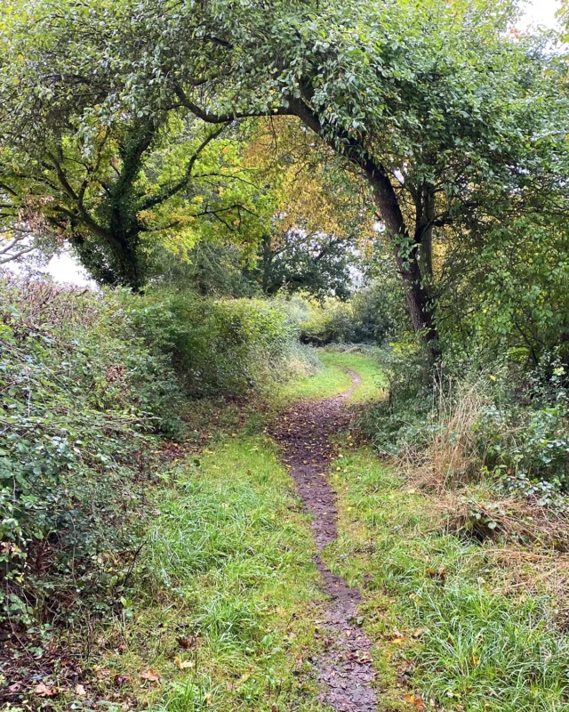Green Lanes Walk
