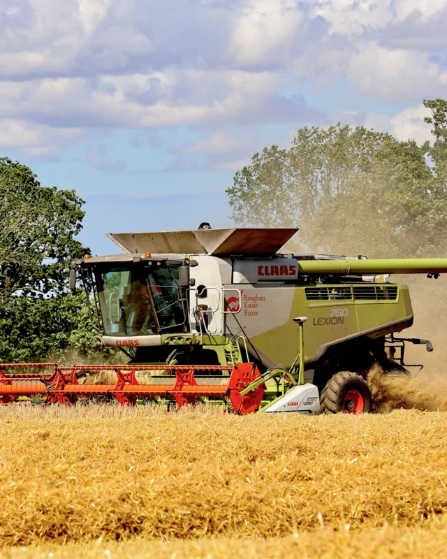 Harvest