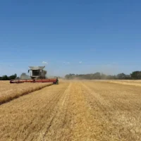 Harvest 2026 1-1