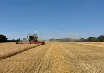 Harvest 2026 1-1