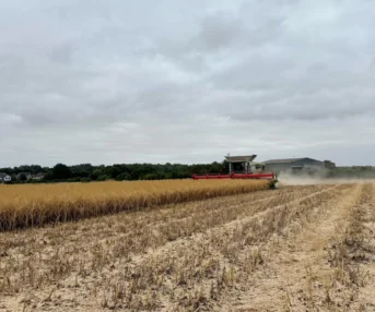 Harvest 2026 4