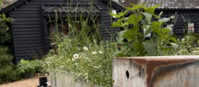 Courtyard Planting 2